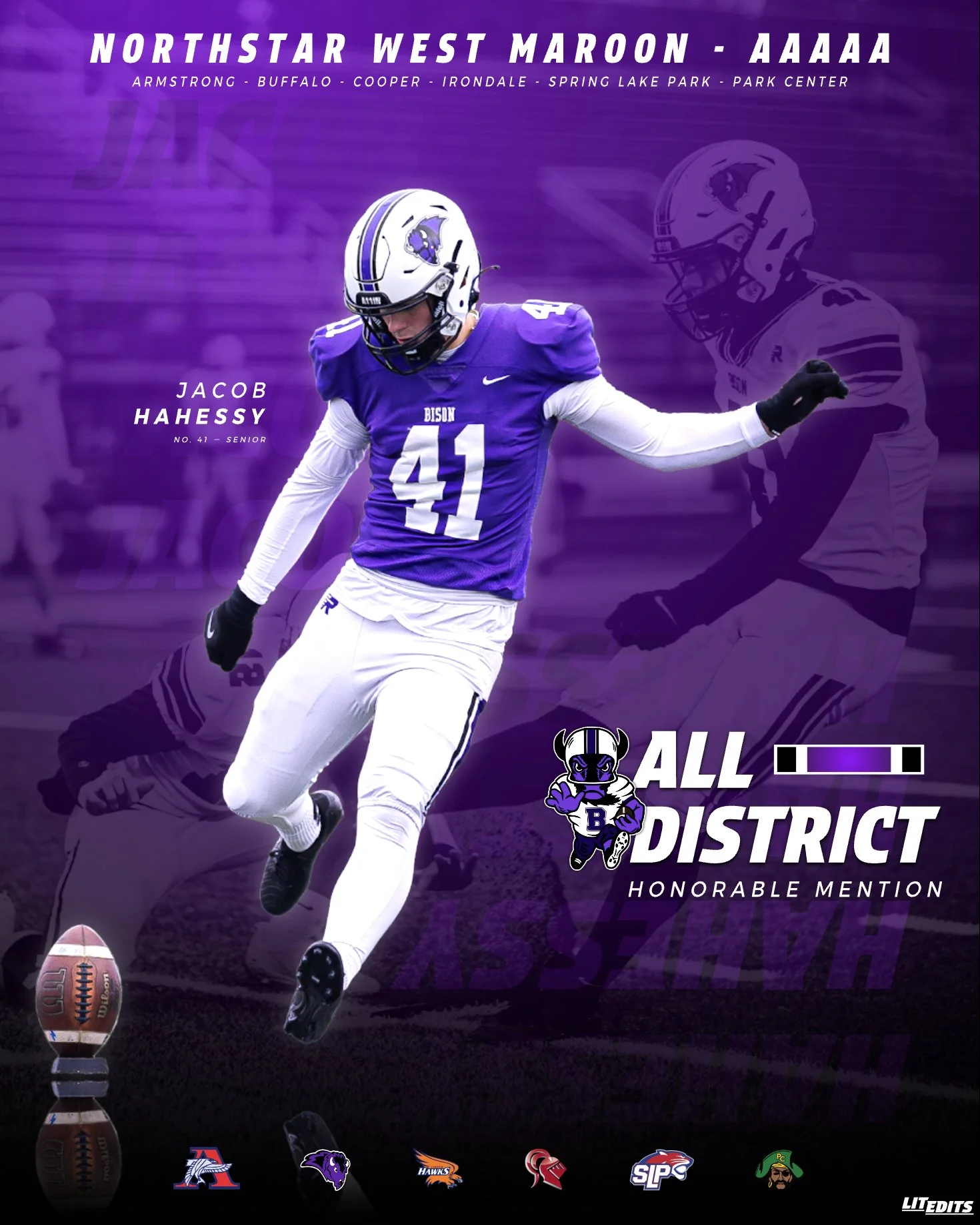 Buffalo Bison Jacob Hahessy - Honorable Mention