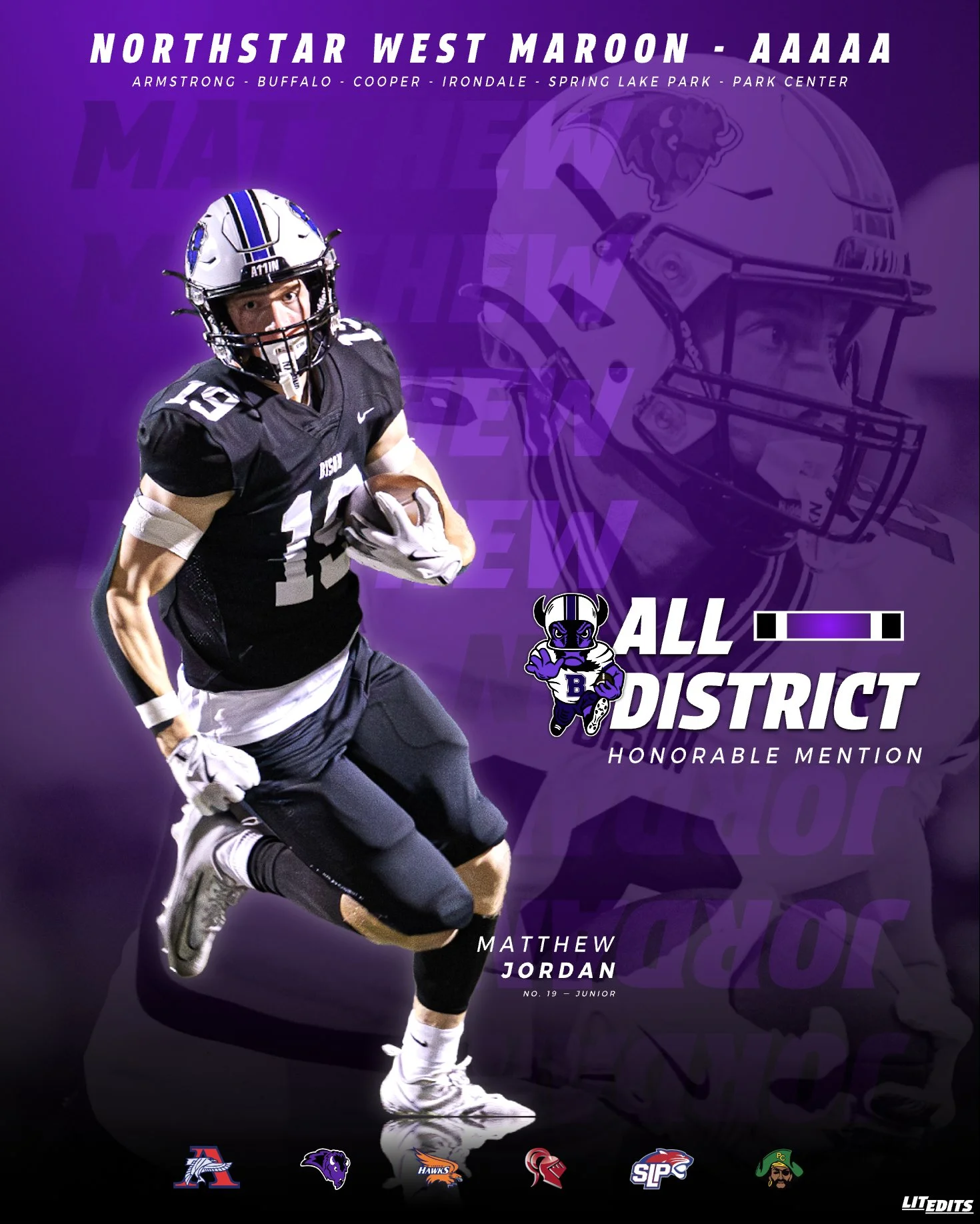 Buffalo Bison Matthew Jordan - Honorable Mention