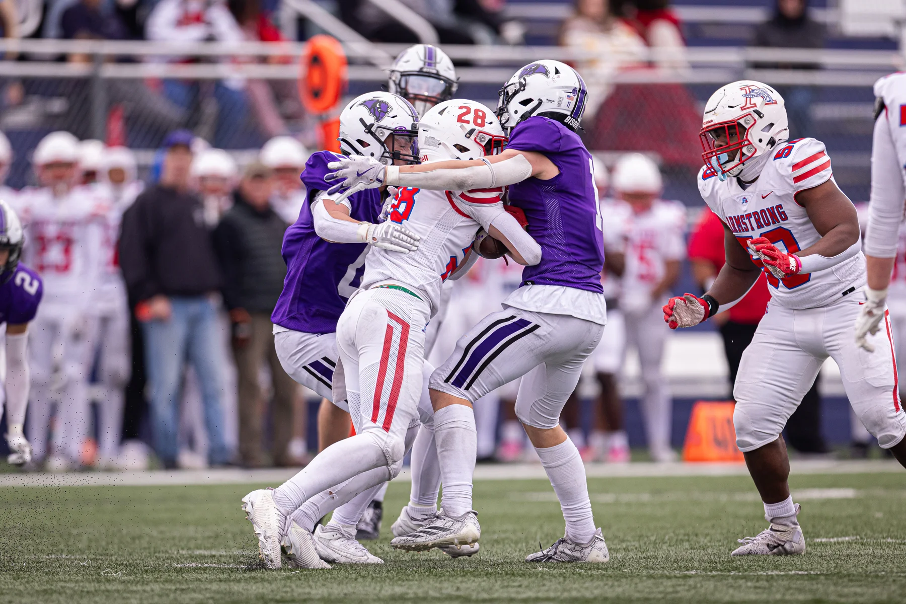 Buffalo Bison making the tackle