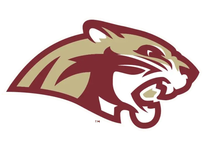 Lakeville South Cougars Football