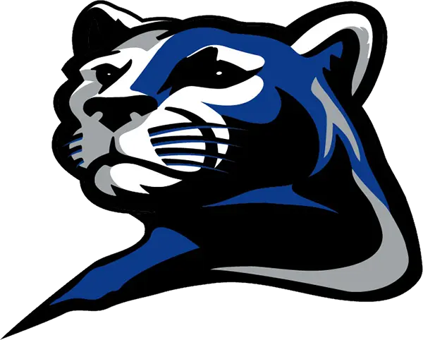 Rogers Royals Football